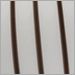 Black Canes