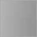 Matte Light Grey