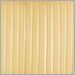 Cream Translucent Ribbon