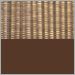 Brown Graphite with Brown Shade