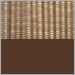 Brown Graphite with Brown Shade