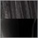 Black Shade / Black Body