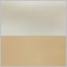 White with Matte Bronze