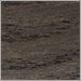 Dark Oak