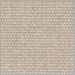 Sunbrella Beige Papyrus