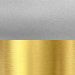 Silver with Gold
