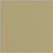 Polished Brass