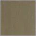 Satin Brass