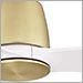 Brushed Satin Brass with Matte White