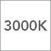 3000