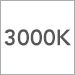 3000