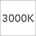 3000