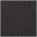 Sooty Grey