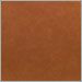 Camel Leather