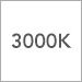 3000