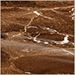 Espresso Brown Shiny Coated Marble