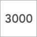 3000