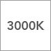 3000