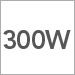 300 Watt