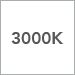 3000