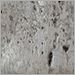 Silver Leaf