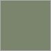 Cactus Matte Textured