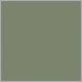 Cactus Matte Textured