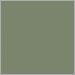 Cactus Matte Textured
