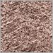 Medium Brown
