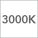 3000