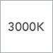 3000
