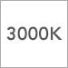 3000