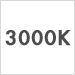 3000