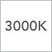 3000