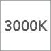 3000