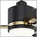 Matte Black with Oilcan Brass Accent