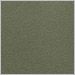 Cypress Green