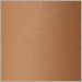 Cinnamon