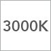 3000