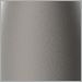 Metallic Beige Silver