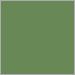 Hues of Green