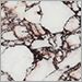 Calacatta Viola Marble