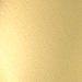 Brushed Brass