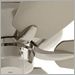 Brushed Nickel with Silver Blades