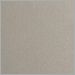 Metallic Beige Silver