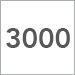 3000