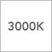 3000