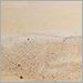 White Sands