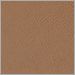 Canyon Vegan Leather