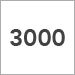 3000